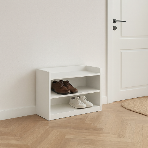 وحدة تخزين أحذية