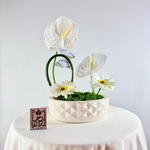The Radiance of Anthurium