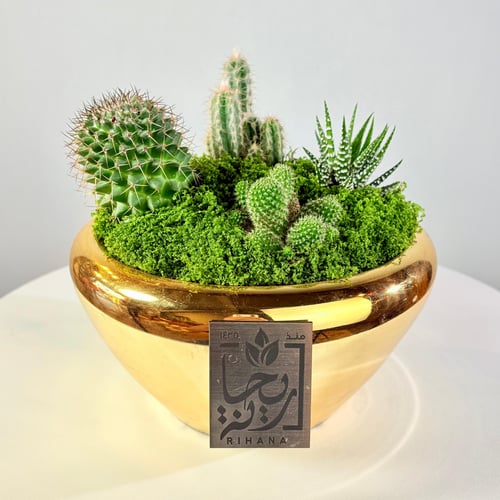 Royal Aloe Mixture
