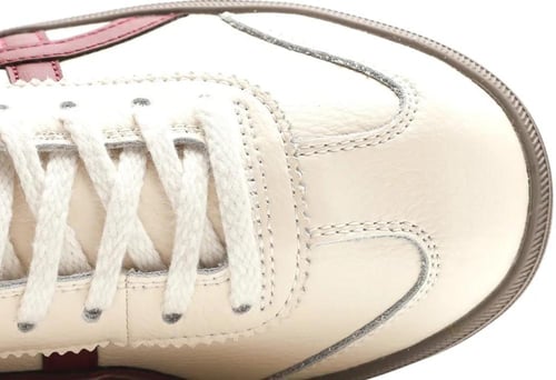 تايجر من اسيكس بشكله المميز والجديد