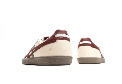 تايجر من اسيكس بشكله المميز والجديد