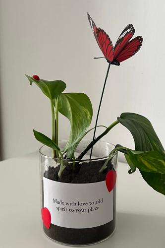 plant - small red -