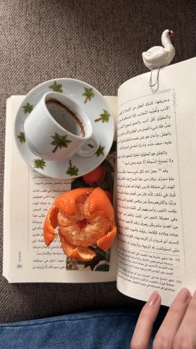 كوب النخيل