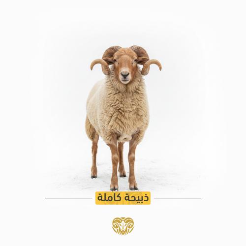 ذبيحة نعيمي كاملة | خروف سعودي فاخر ~18 - 25 كيلو...