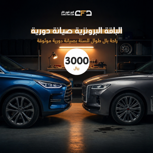 الباقة البرونزية صيانة دورية