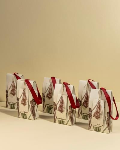 توزيعات العيـد | ٦ مرش