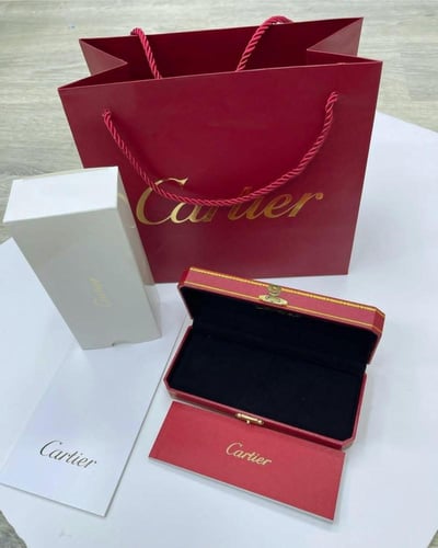 قلم كارتيية