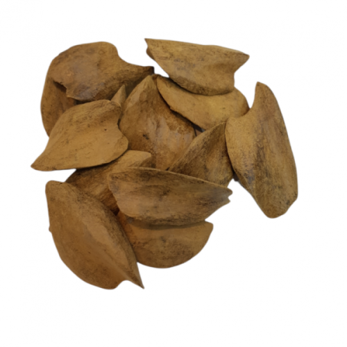 عود مروكي ترابي-جواهر الرض