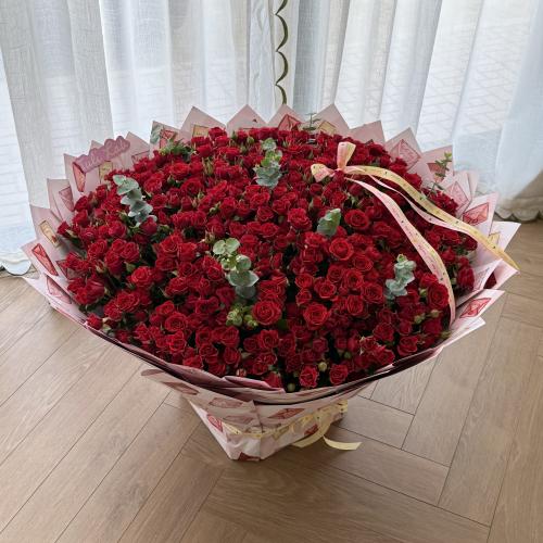 Super Red baby rose