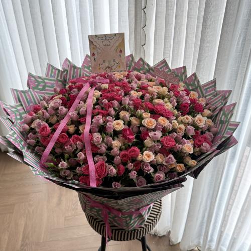 Super Mix baby rose