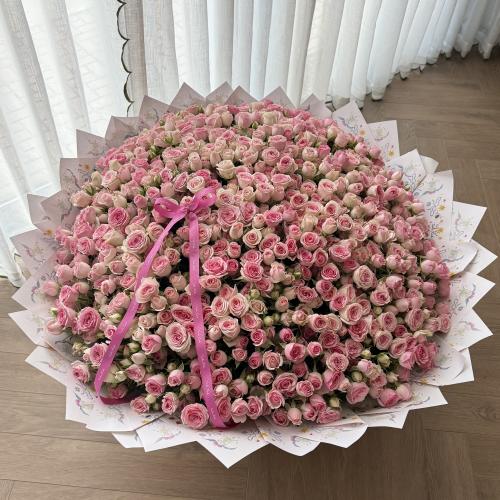 Super pinky baby rose