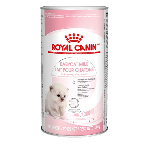 رويال كانين حليب بودرة للقطط الكيتن300 جرام