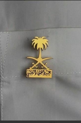 بروش سيفين ونخله بالاسم