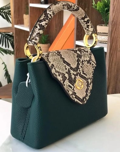 شنطة لويس فيتون LV