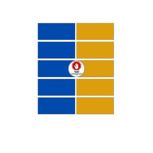 استراتجية شحن البطارية