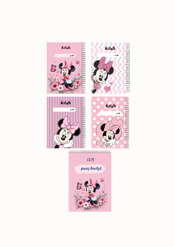 بكج ميني الأنيقة