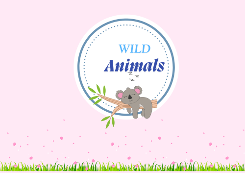 مطوية الحيوانات-English-Wild Animals