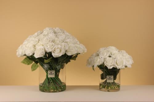 روز ملمس طبيعي Blanc