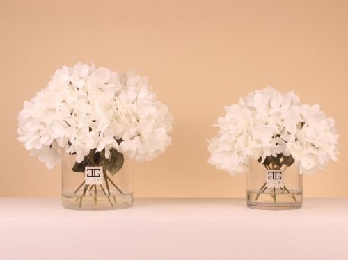 فازة هيدرنجا Alabaster Bloom