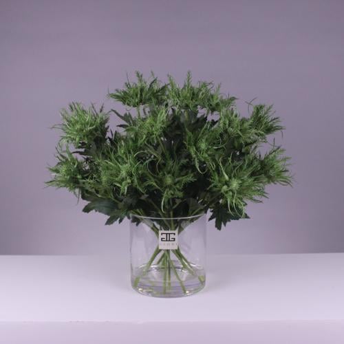 Verdant Crown فازة الايكينوبس