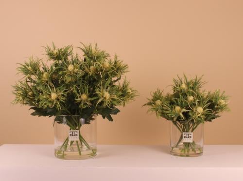 فازة الايكينبوس Verdant