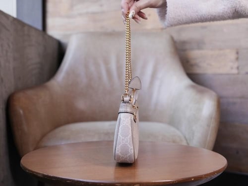 شنطة قوتشي أوفيديا