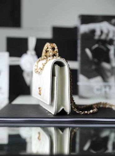 شنطة شانيل كروس باق مقاس. 19.2cm