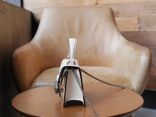 شنطة قوتشي ديونيسوس