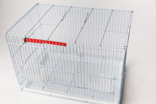 مبرد للطيور الأليفة متعدد الألوان