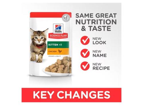 طعام رطب للقطط الصغيرة