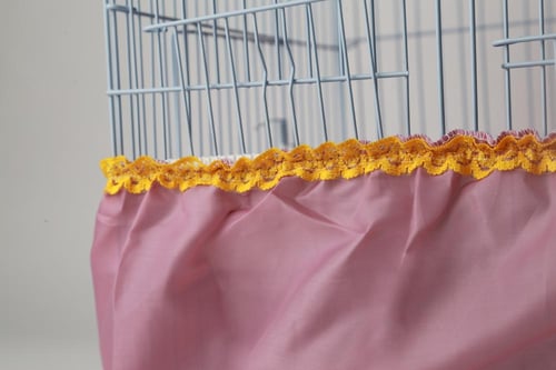 تلبيسة اقفاص للطيور