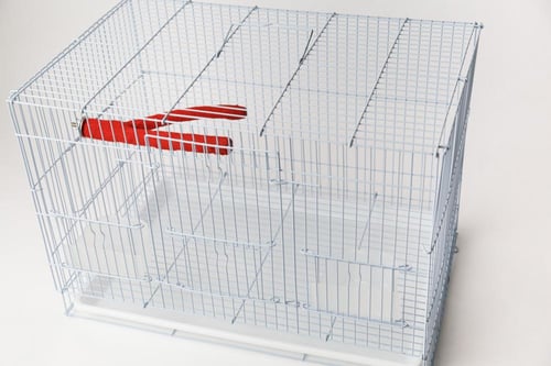 مجثم للطيور الأليفة حرف Y