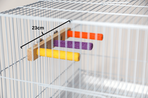 لعبة ومبرد للطيور