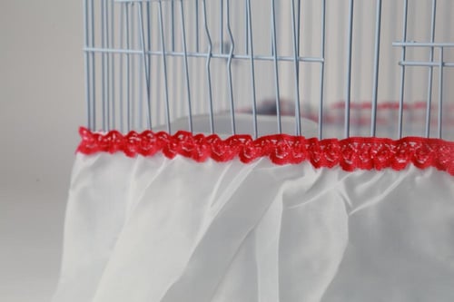 تلبيسة اقفاص للطيور