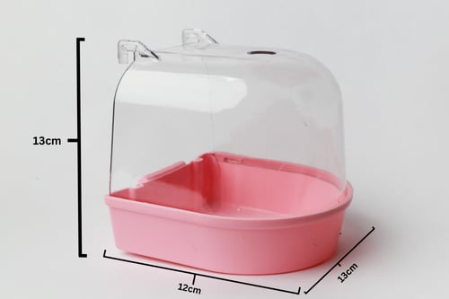 مسبح للطيور الصغيرة