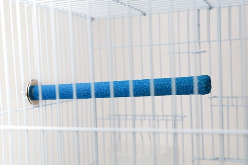 مبرد للطيور الأليفة متعدد الألوان