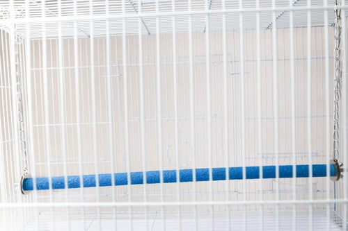 مبرد ومجثم ذو سلسلة للطيور