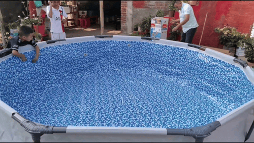 مسبح أعمدة دائري رصاصي 3.05×3.05×0.76متر يتسع 5 اش...