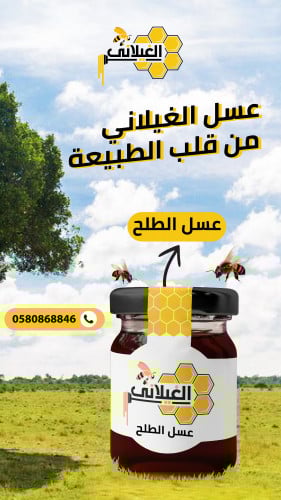 اجود انواع العسل البلدي - عسل طلح طبيعي بلدي نص كي...