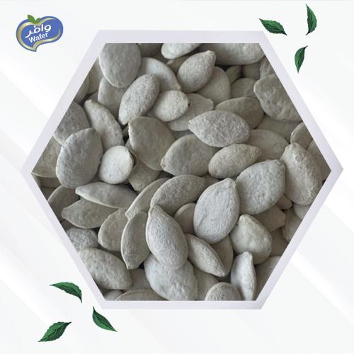 Salted pumpkin seeds