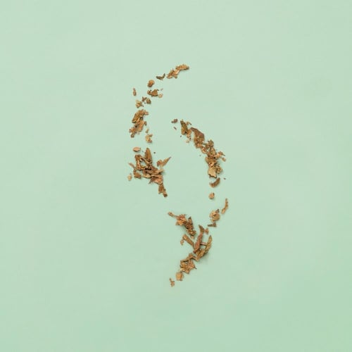 عطر قوتشي جيلتي بور أوم او دي توليت