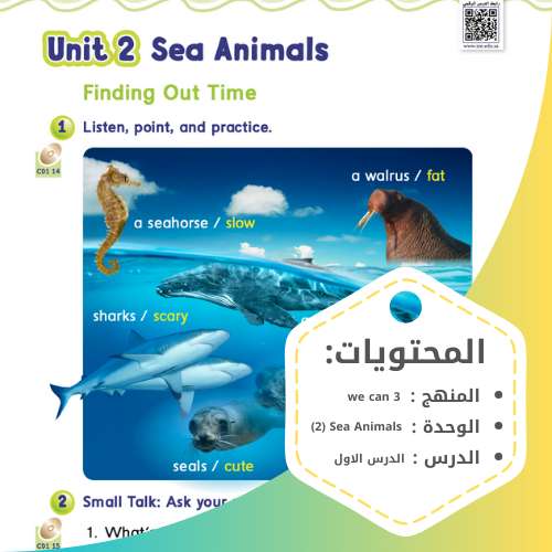 عرض كامل قبل لتعديل | الدرس الاول من وحدة Sea Anim...