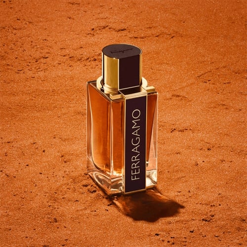 سلفاتور فيرغامو عطر سبايسي ليذر للرجال - بارفيوم 1...