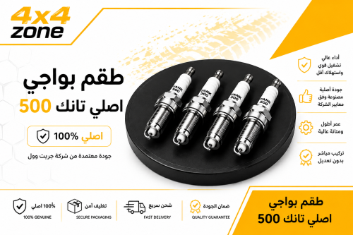 Original spark plug set Tank 500