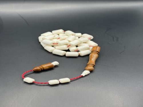 عظم جمل بشاهد كوك