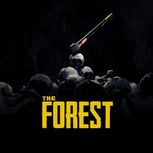 The forest