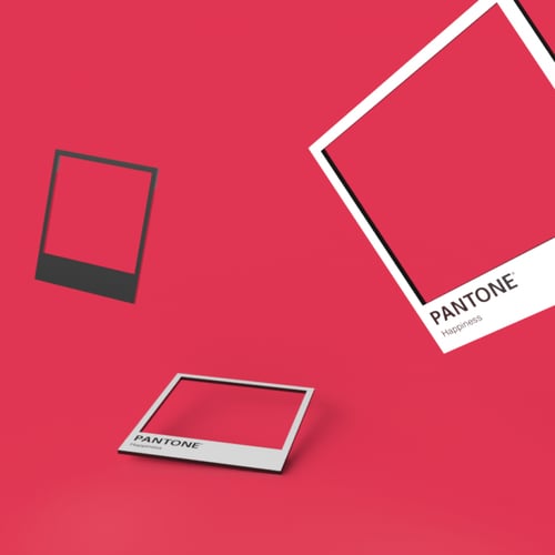 مغناطيس بنتون السعادة