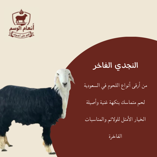 خروف نجدي صغير عمر 4-5 شهر