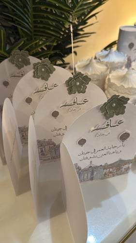 بكج بيبي عساف