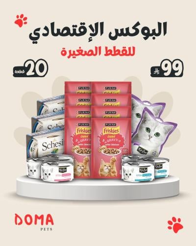 البوكس الاقتصادي للقطط الصغيره
